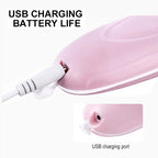 Electric Facial Cleansing Brush