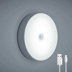Motion Sensor LED Night Light